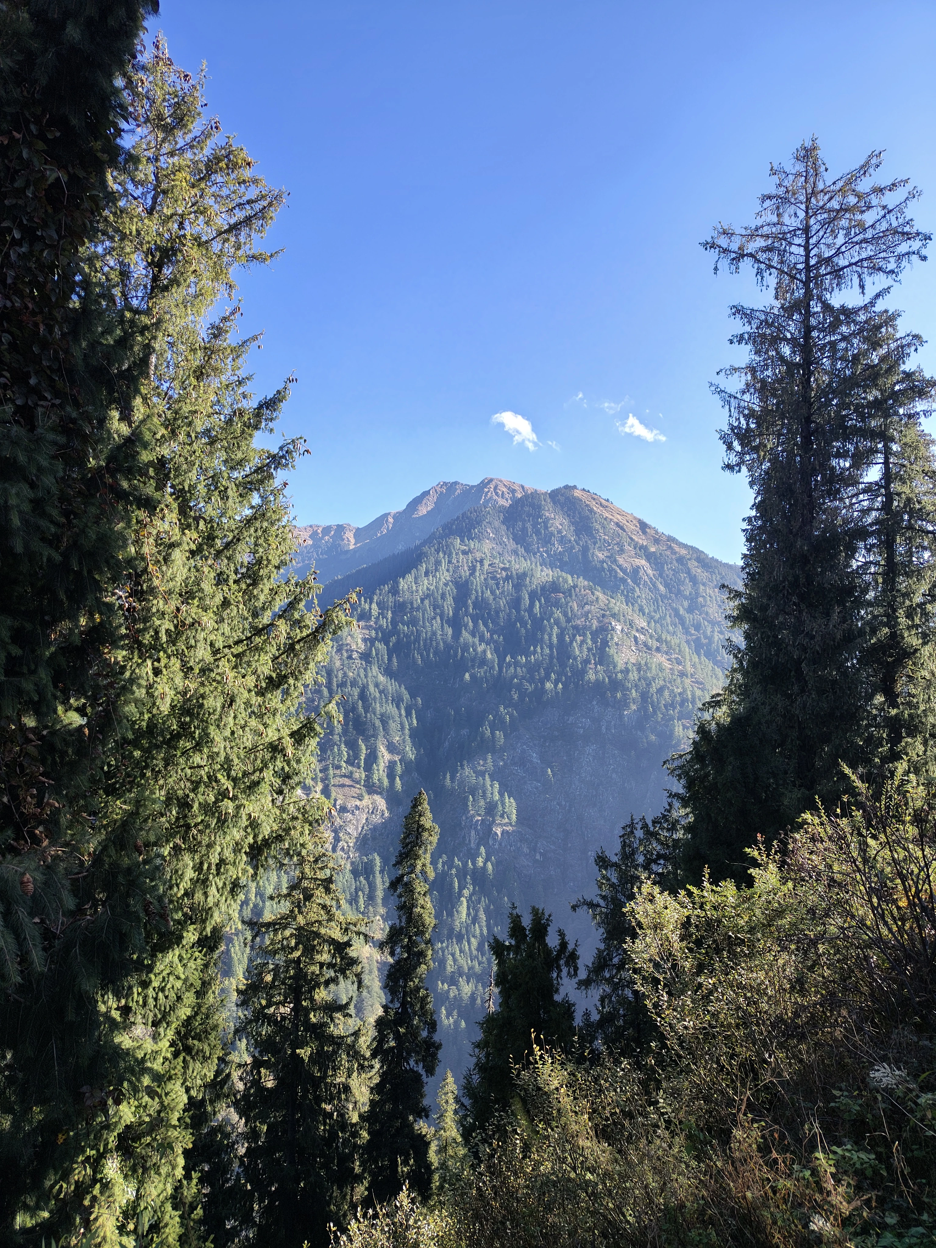 Himachal